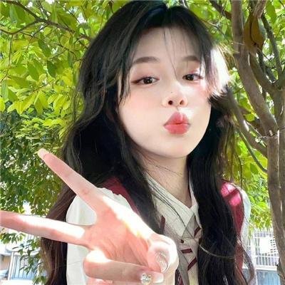 驯鹿大冒险：超越北极光