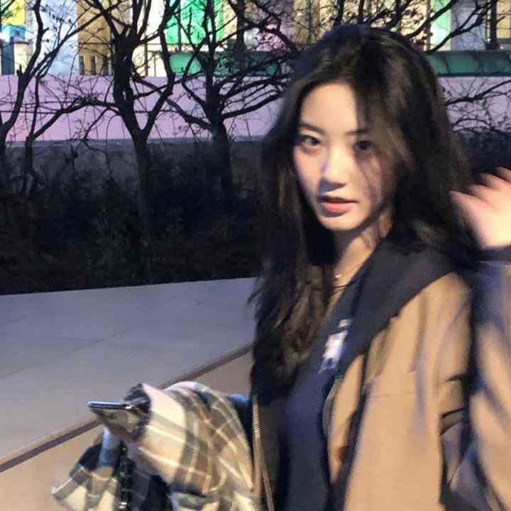 阿莱蒂公主